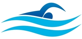 dush logo